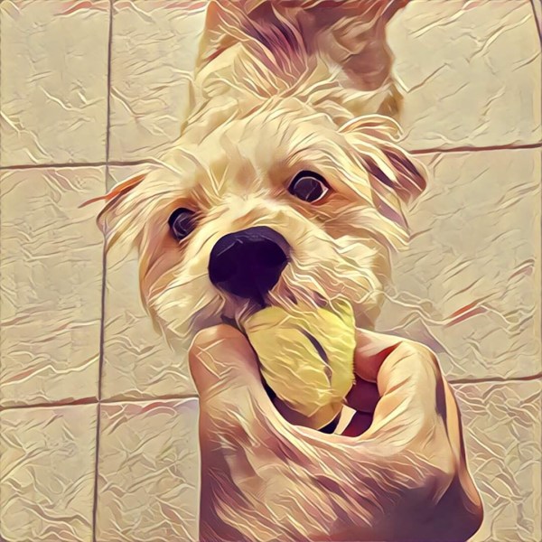 שני גברים וכלב - הטסת כלב ללונדון